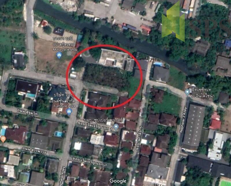 Land For Rent in Sukhumvit 70/3 (SPSP42 )