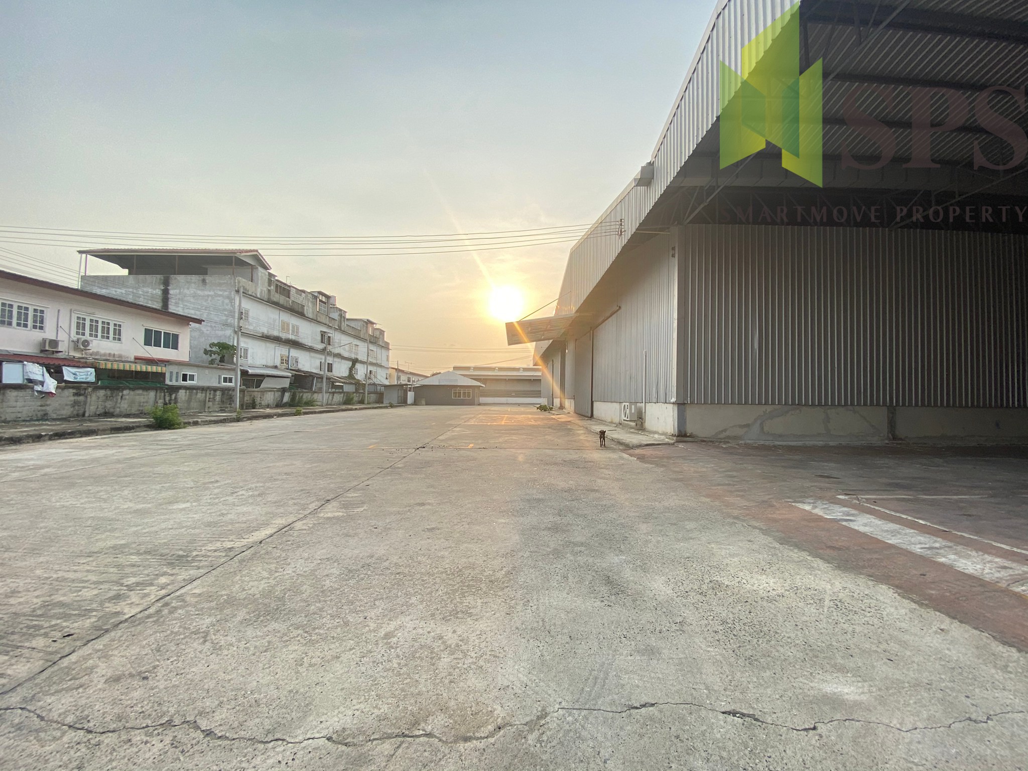 Warehouse for RENT at BangPlee-Tamru / โกดัง พร้อมสำนักงาน สำหรับเช่า ที่ บางพลี ตำหรุ (Property ID: SPS-PPW156)