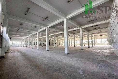 Warehouse for rent at Thepharak km.24. (SPSAM501) 07