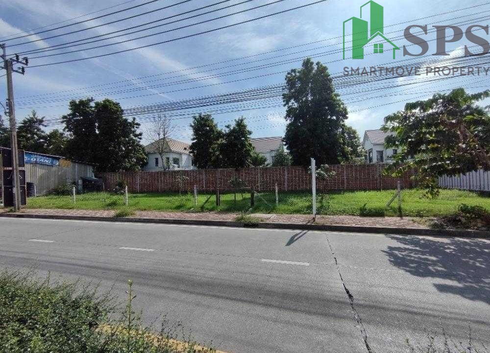 Land for rent located along Bering New Road. (SPSAM1023) 01