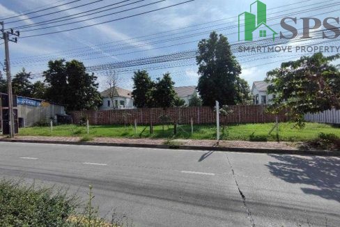 Land for rent located along Bering New Road. (SPSAM1023) 01